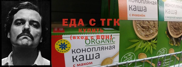 молекула духа Алзамай