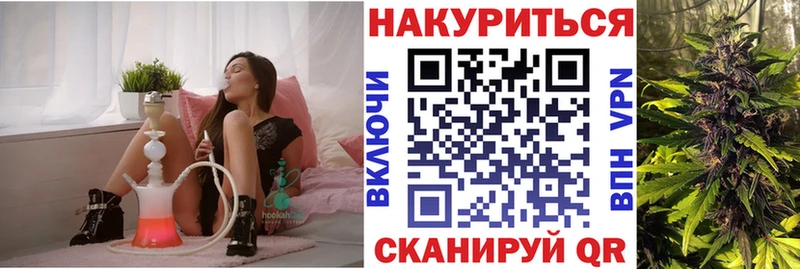 Купить Мончегорск Конопля сатива